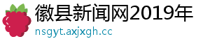 徽县新闻网2019年